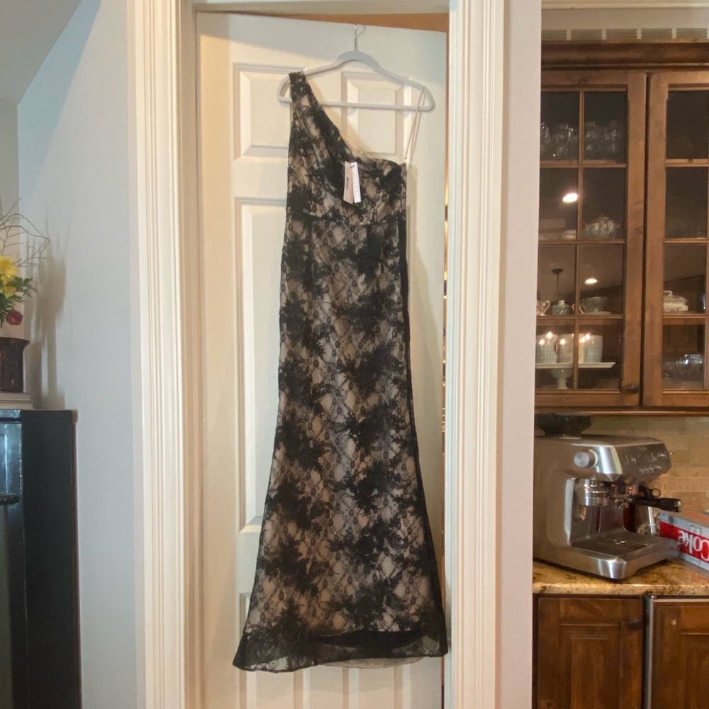 Alice and Olivia Black Lace Floor Length Gown